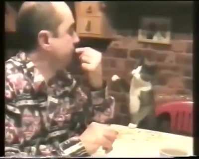 Как человек