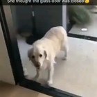 /AWWWNN/