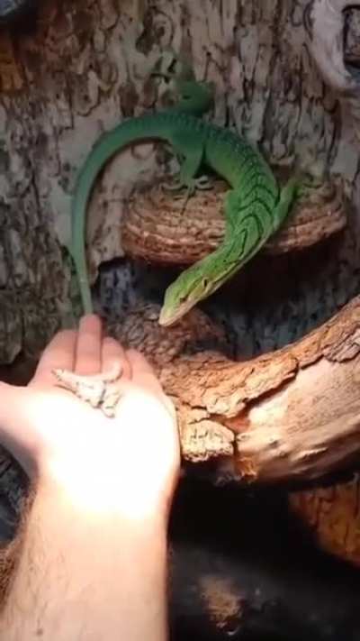 WCGW When your finger looks more appetizing than the worm.