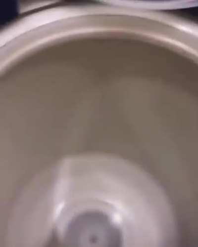 MAMAAAAAAAAAAAAAAA MIAAAAAAAAAAAAAAAAA