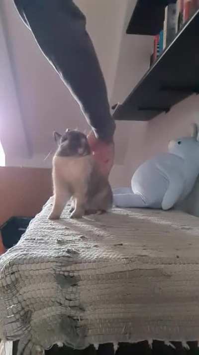 Unhand me!