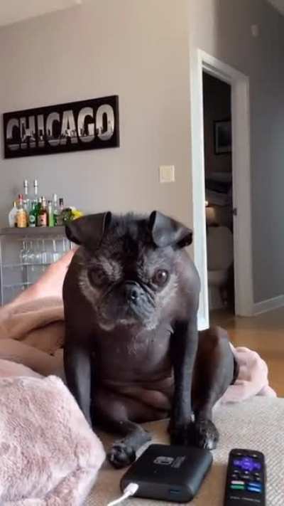Someone is watching me