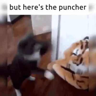 Rule