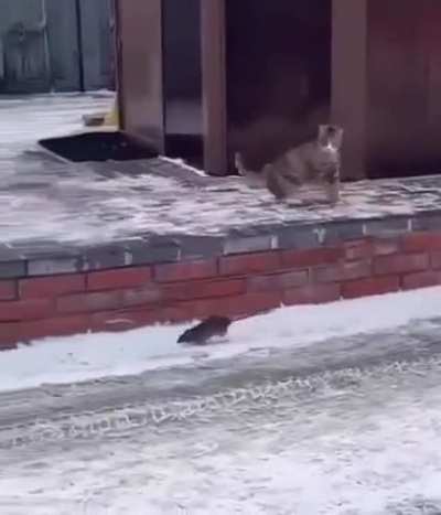 hmm