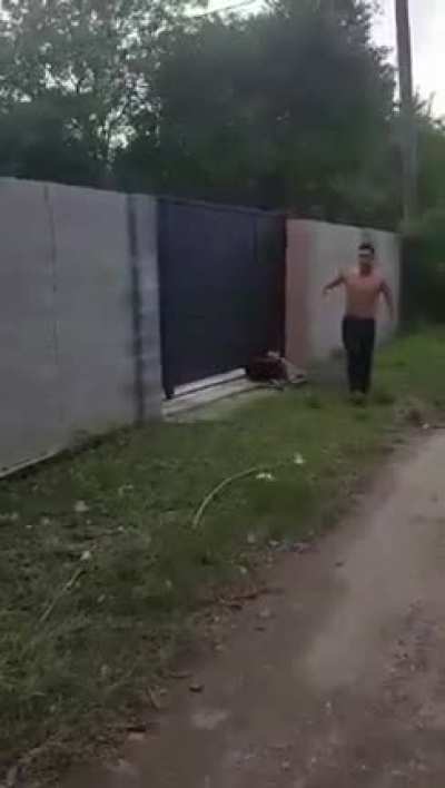 Brutal Knee KO