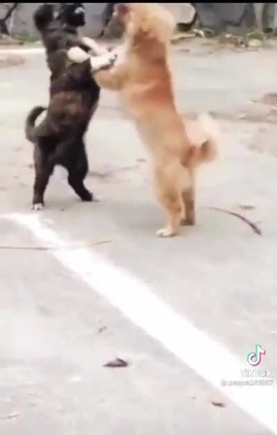 Gotta take lessons from them