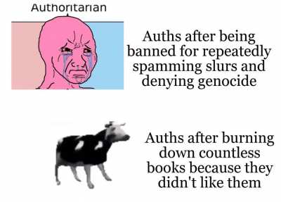 If I don’t like it, ban it -auths, 2021