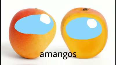 Descripción
