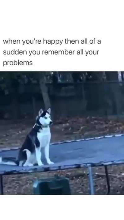 Sudden tippytaps