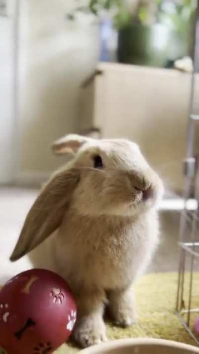 Licky mouf