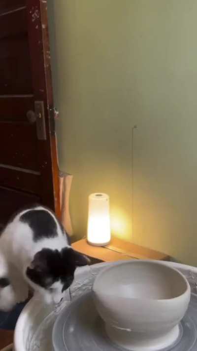  Wunkus of the arts