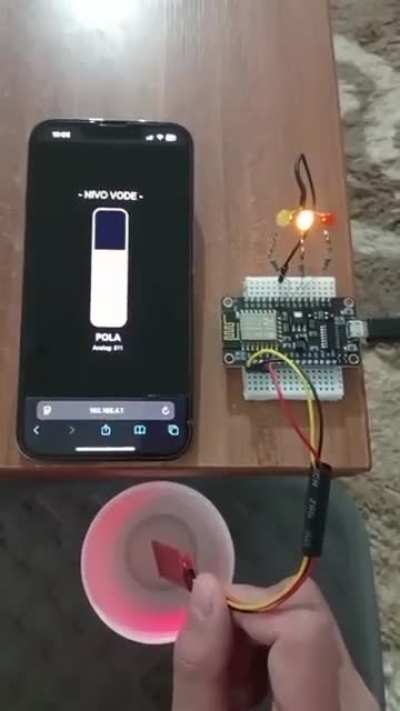 ESP8266 Water Level Indicator with LEDs + Web Interface