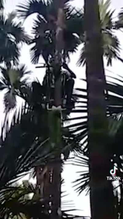 Fuck climbing we need this shit