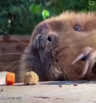 Very tasty!