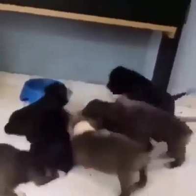 HMM