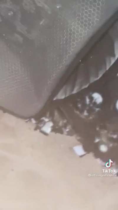 Eee