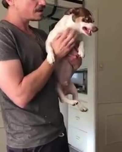 Mister Bubz, calm down!