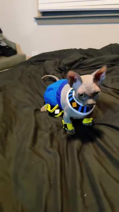 Beerus 2.0