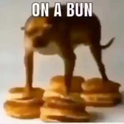 Rule