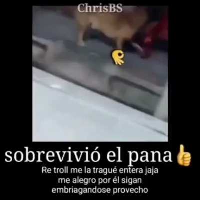 PANA
