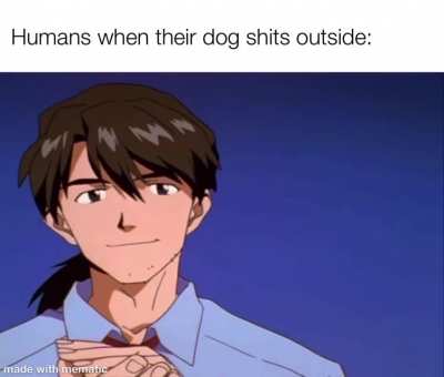Literal shitpost