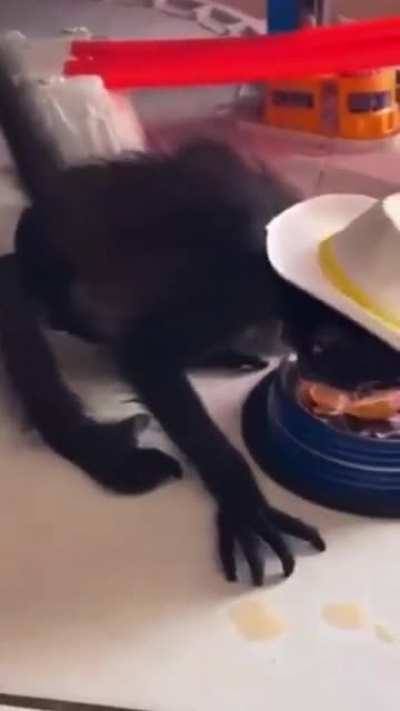 Pura Changuiza 🤠🐒