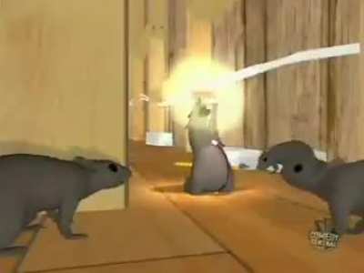 Rat history lesson