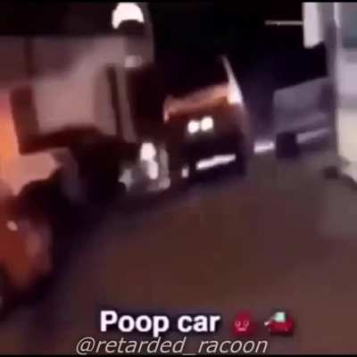 Monkey hit da bong 😂😂😎💨