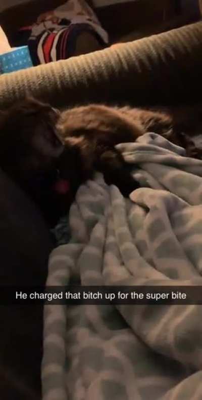 To sleep peacefully