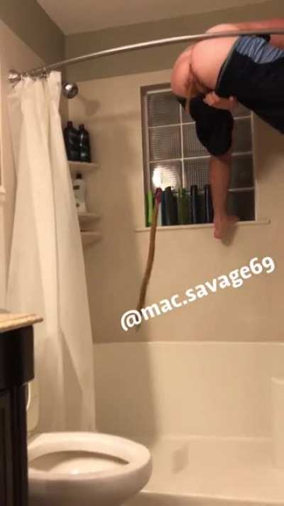 🕷🕸