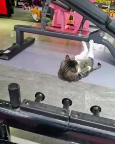 No excuse.