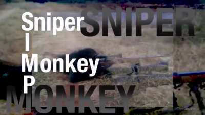 Yes I'm a Simp