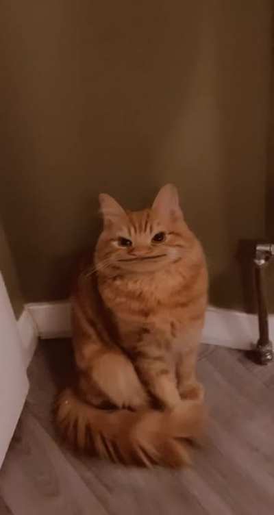 He did not enjoy me laughing at him
