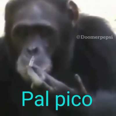 Pal pico
