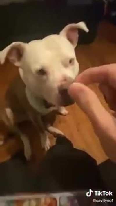 NOOO-