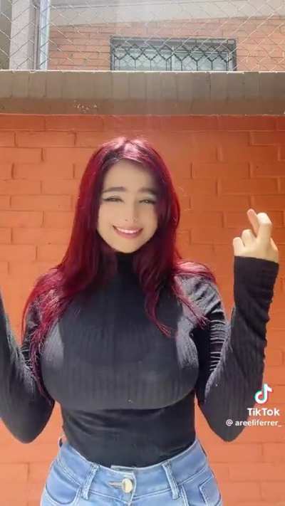 @areeliferrer_