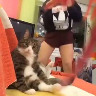 Not this again!