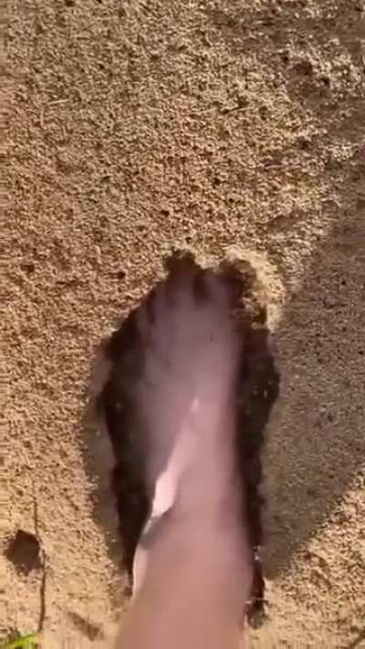 Just decided to go outside