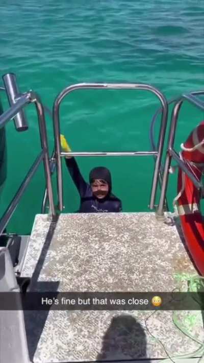 Spearfishing gone wrong