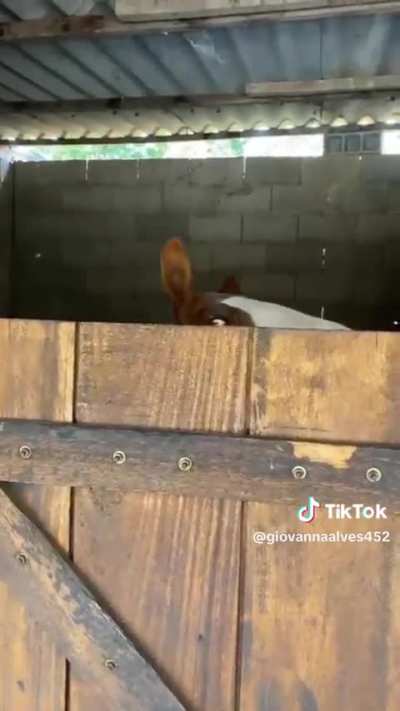 Opa, beleza?