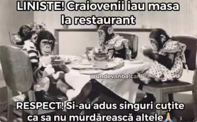 Liniște!!