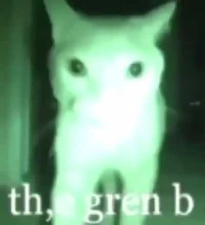 peculia r wunk s