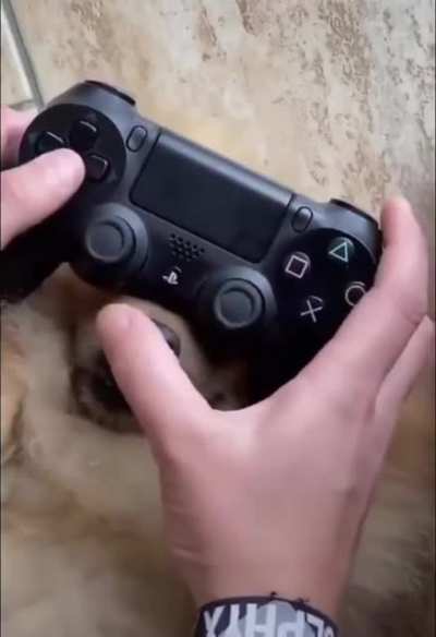 Чудо джойс<wbr>тик