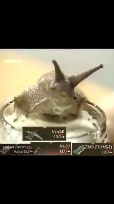 Gaijin in the nutshell
