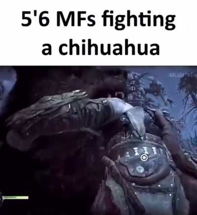 Short king