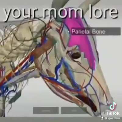 yes