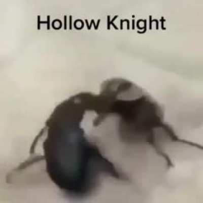 It do be like that