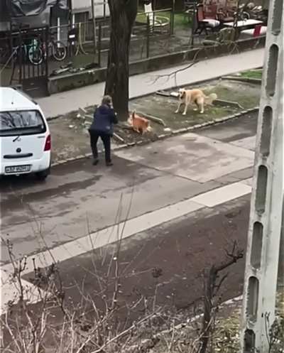 Maybe Maybe Maybe