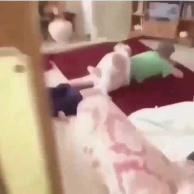 0.o
