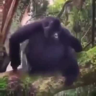 :(